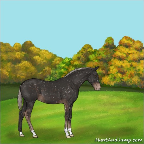 Horse Color:Liver Chestnut Mushroom Snowflake Varnish