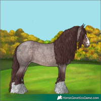 Horse Color:Platinum Chocolate Brown Roan 