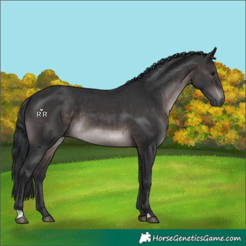 Horse Color:Platinum Brown 