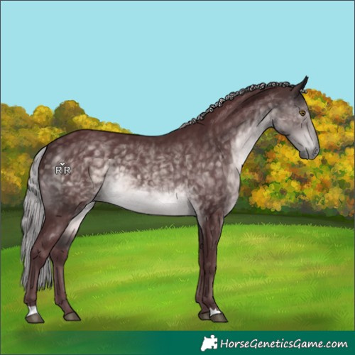 Horse Color:Platinum Chocolate Silver Buckskin 