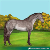 Horse Color:Platinum Chocolate Brown Dun 