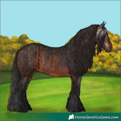 Horse Color:Brown Rabicano  and Gray Brown Rabicano 
