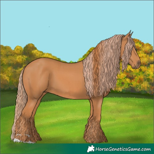 Horse Color:Chestnut  and Chestnut 