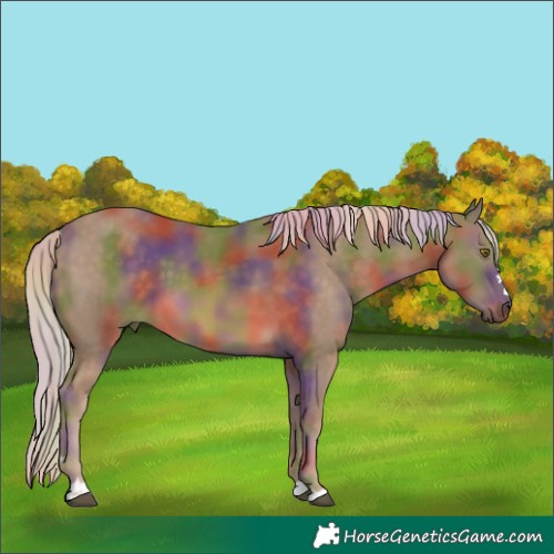 Horse Color:Nacre Chocolate Palomino 