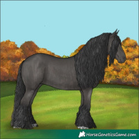 Horse Color:Grullo  and Grullo 