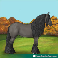 Horse Color:Grullo Rabicano 