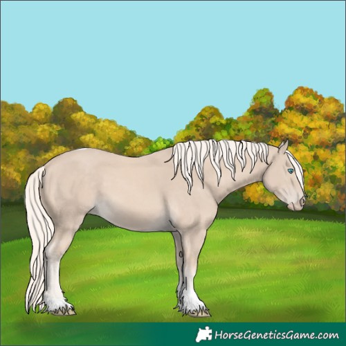 Horse Color:Cremello Tobiano 