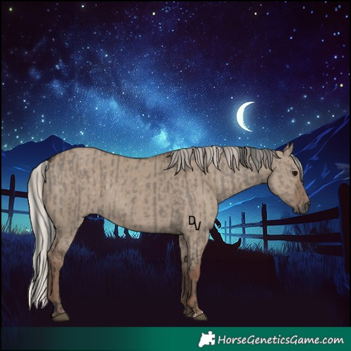 Horse Color:Grullo  and Silver Grullo 
