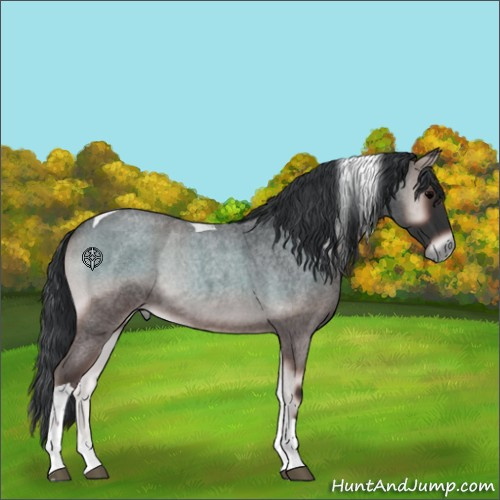 Horse Color:Blue Onyx Roan Tobiano 