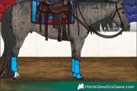 Horse Color:Grullo Brindle  and Grullo Brindle 