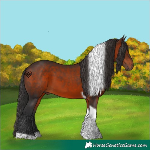 Horse Color:Brown Tobiano 