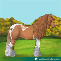 Horse Color:Chestnut Tobiano 