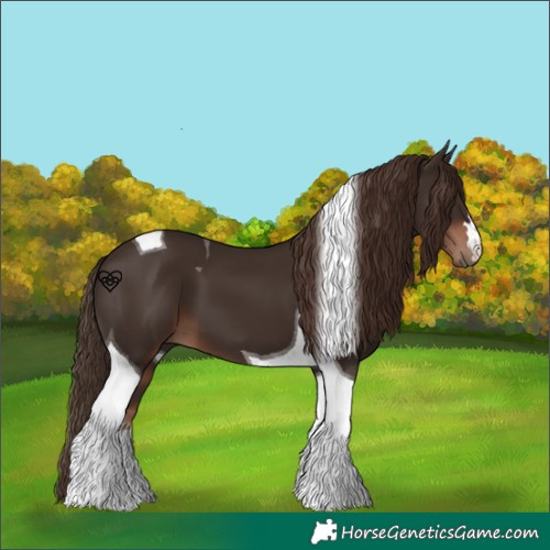 Horse Color:Liver Chestnut Tobiano 