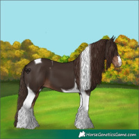 Horse Color:Liver Chestnut Tobiano 