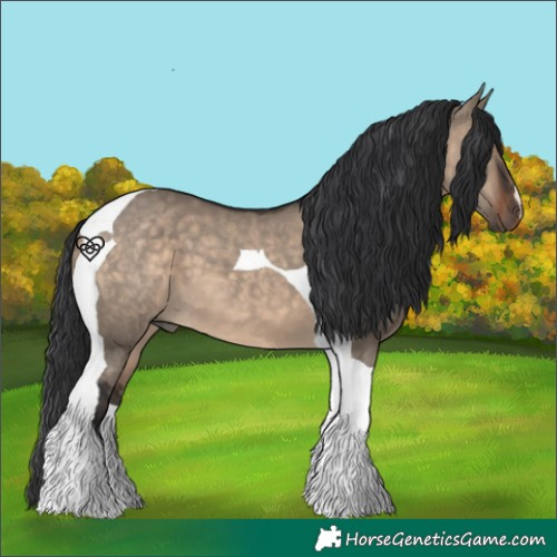 Horse Color:Brown Dun Tobiano 