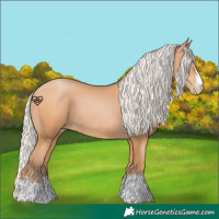Horse Color:Silver Bay Pearl 