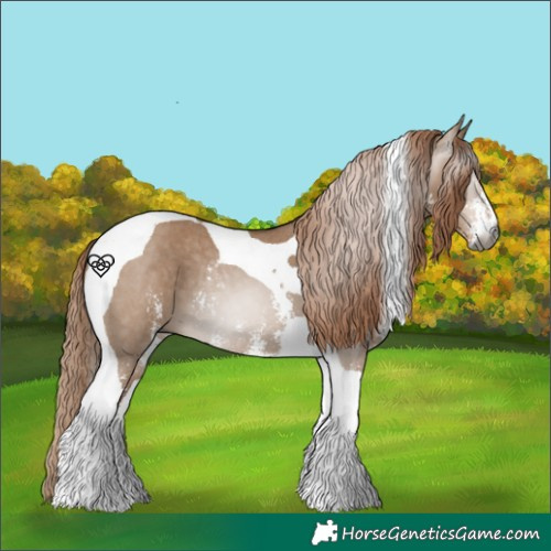 Horse Color:Gray Red Dun Sabino Tobiano