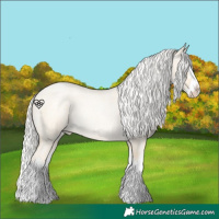 Horse Color:Silver Buckskin Roan Pearl Splash 