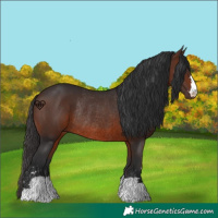 Horse Color:Brown Rabicano 