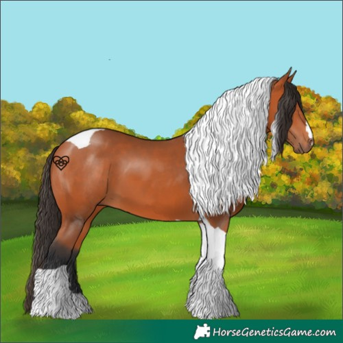 Horse Color:Bay Tobiano 