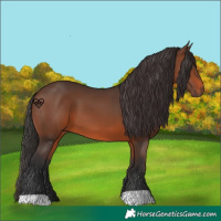 Horse Color:Brown 