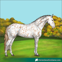 Horse Color:Chestnut Tobiano Near Leopard