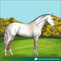 Horse Color:Gray Red Dun