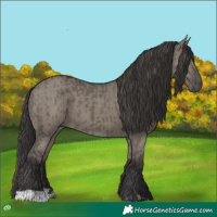 Horse Color:Smoky Grullo  and Smoky Grullo 