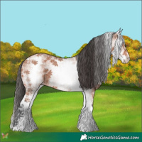 Horse Color:White Spotted Bay Ice 