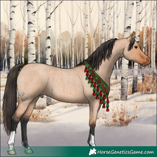 Horse Color:Bay Roan Dun