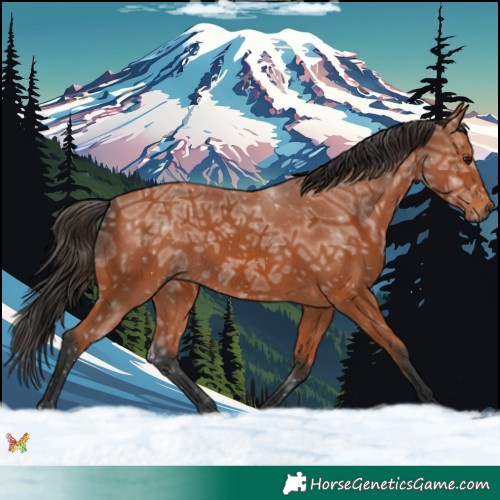 Horse Color:Bay Ice Rabicano 