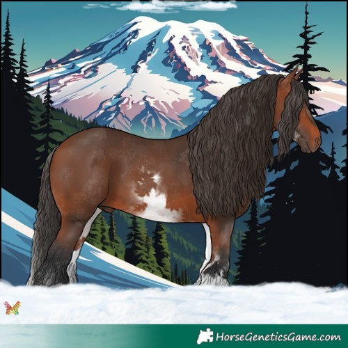 Horse Color:White Spotted Bay 