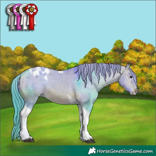 Horse Color:Watercolor Bay Dun Tobiano Blanket 