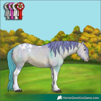 Horse Color:Watercolor Bay Dun Tobiano Appaloosa