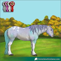 Horse Color:Watercolor Bay Dun Tobiano Blanket 