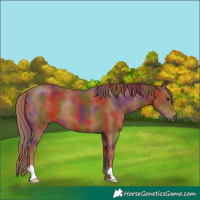 Horse Color:Nacre Chestnut