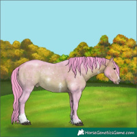 Horse Color:Watercolor Bay Sabino