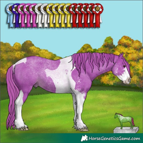 Horse Color:Watercolor Liver Chestnut Sabino Tobiano Rabicano 