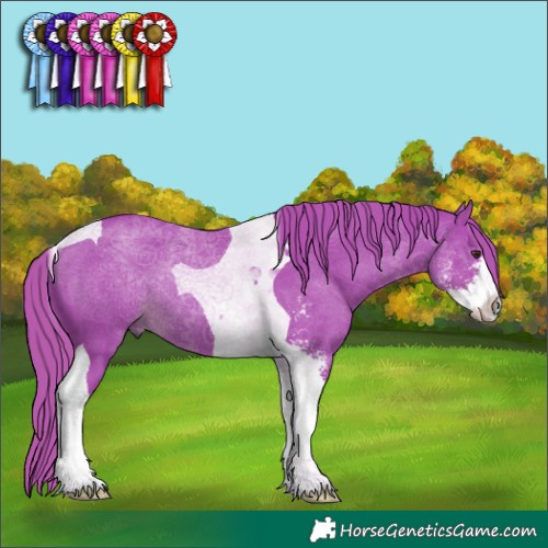 Horse Color:Watercolor Liver Chestnut Sabino Tobiano Rabicano 