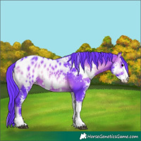 Horse Color:Watercolor Brown Onyx Sabino Near Leopard 