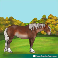 Horse Color:Silver Brown 