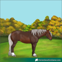 Horse Color:Silver Brown 