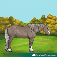 Horse Color:Silver Grullo Brindle 
