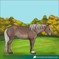 Horse Color:Silver Black 