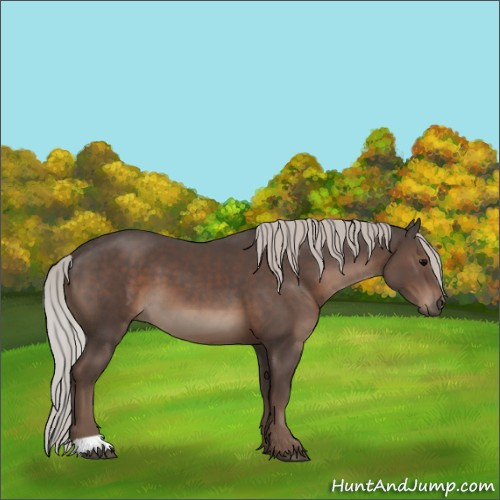 Horse Color:Silver Black 