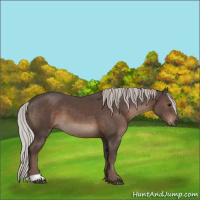 Horse Color:Silver Black 