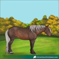 Horse Color:Silver Brown 