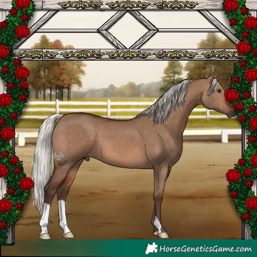 Horse Color:Silver Brown Dun 