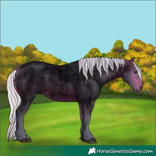 Horse Color:Void Watercolor Silver Brown Roan