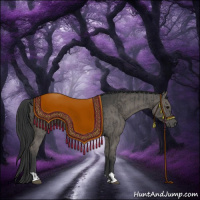 Horse Color:Grullo  and Grullo 